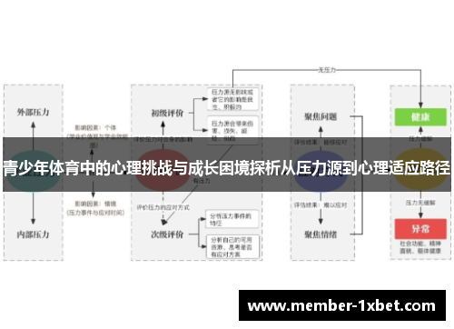青少年体育中的心理挑战与成长困境探析从压力源到心理适应路径