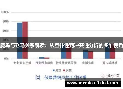 魔鸟与老马关系解读:从互补性到冲突性分析的多维视角 魔鸟与老马关系解读:从互补性到冲突性分析的多维视角
