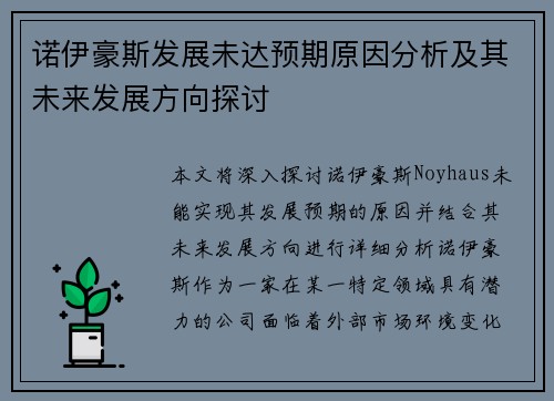 诺伊豪斯发展未达预期原因分析及其未来发展方向探讨